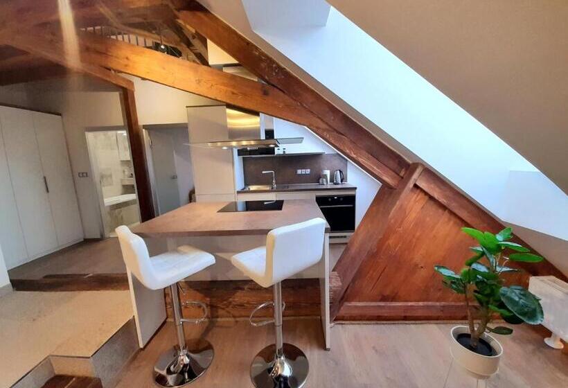 호텔 Residence Mariánská