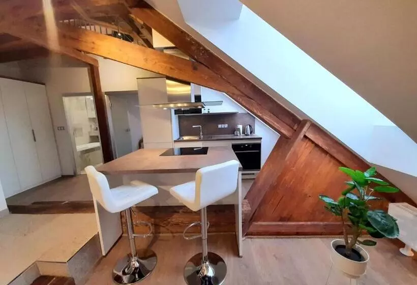 ホテル Residence Mariánská