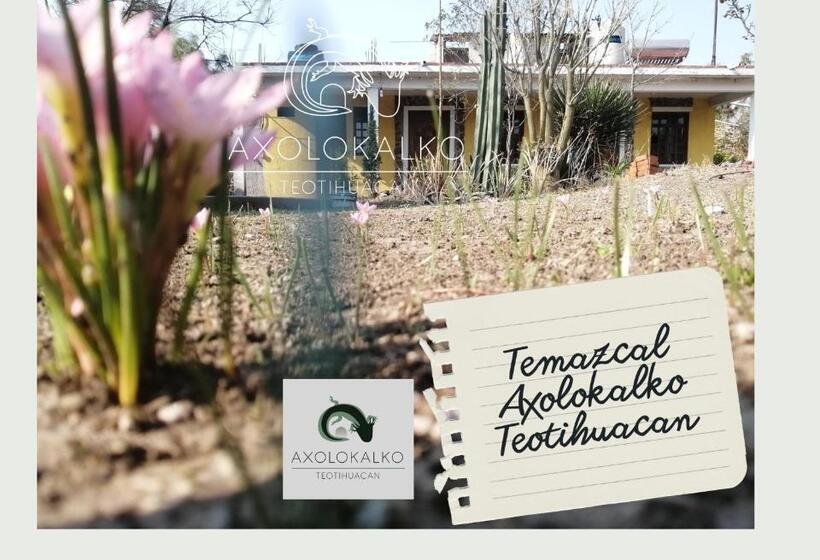 Общежитие Axolokalko Teotihuacan