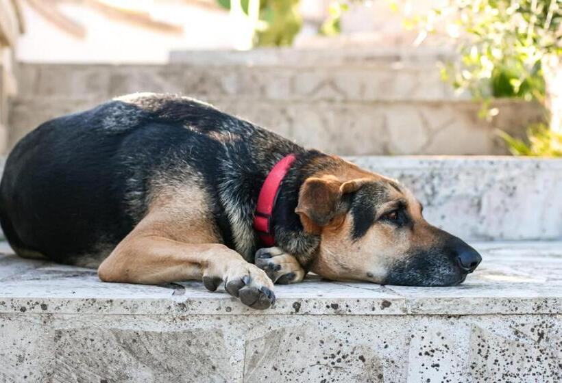 Nocleg ze śniadaniem Valle Dell Idro Otranto