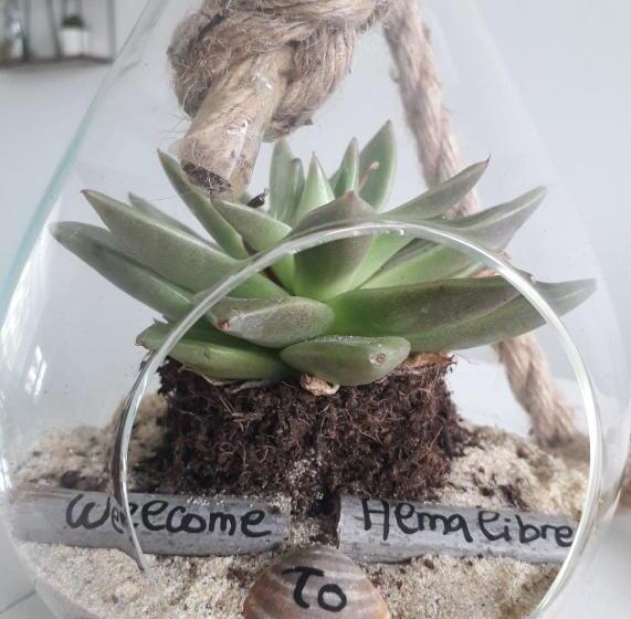 住宿加早餐  Alma Libre Yoga & Surf House