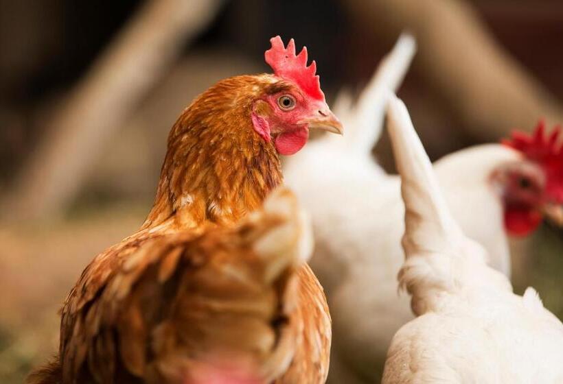 Bed and Breakfast Brådtom Slusscafé & Stugor