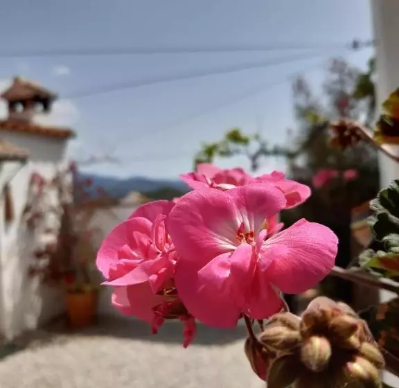 Aamiaismajoitus (B&B) Casa Amani