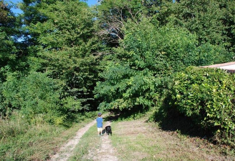 Bed and Breakfast La Casa In Collina