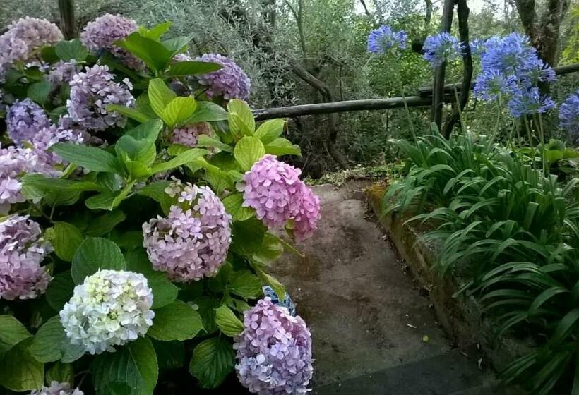 Bed and Breakfast La Santarella