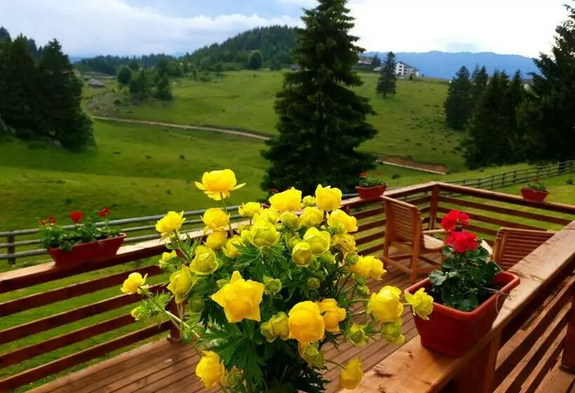 ベッドアンドブレックファースト La Vulturi