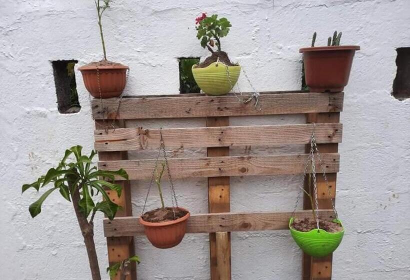 Pension Chambre D Hote Place Des Amoureux