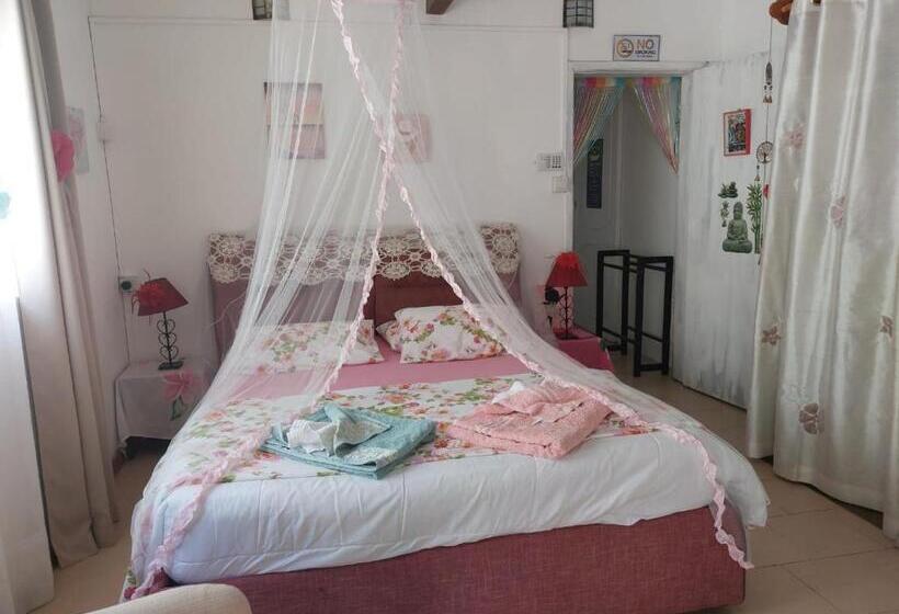 Pension Chambre D Hote Place Des Amoureux