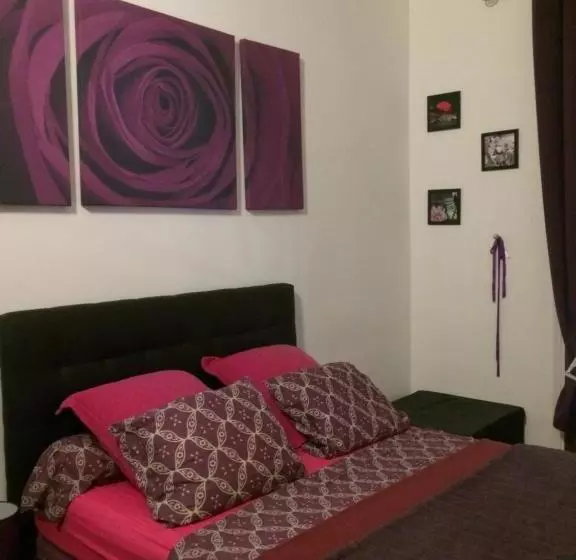 ペンション Chambres Dans Guest House Centre Ville