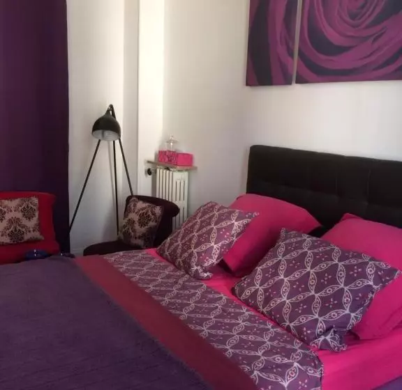 ペンション Chambres Dans Guest House Centre Ville