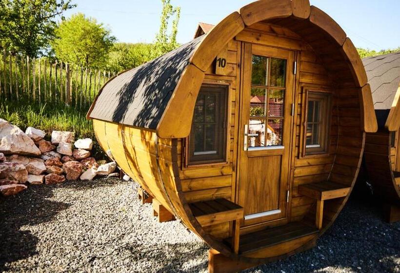 پانسیون Complex Butoaiele Transilvaniei Cazare & Spa Natura Relaxare