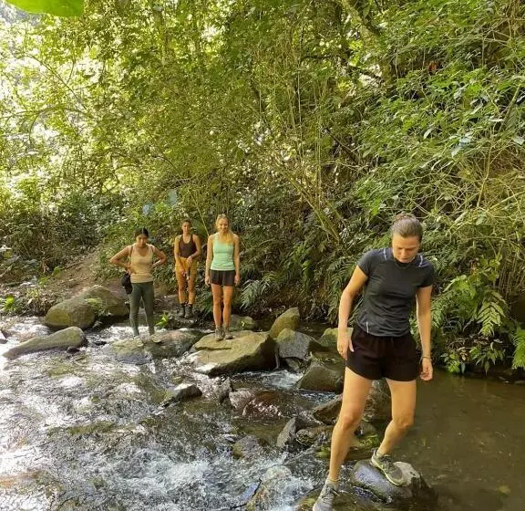 پانسیون Hostal Doña Mercedes