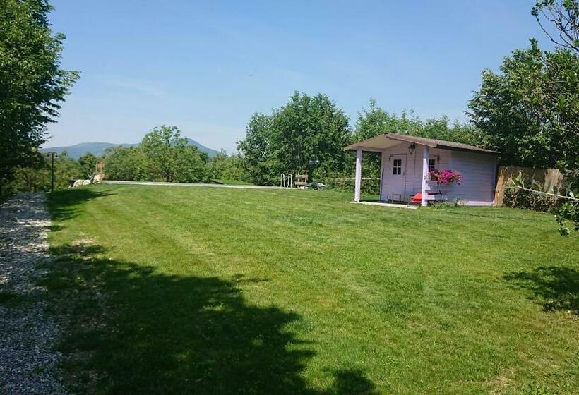 膳宿费 Il Carpino Bianco