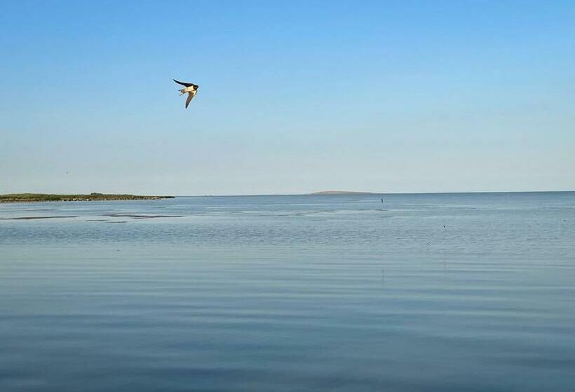 Пансион La Cupric