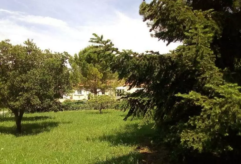 پانسیون La Micalene