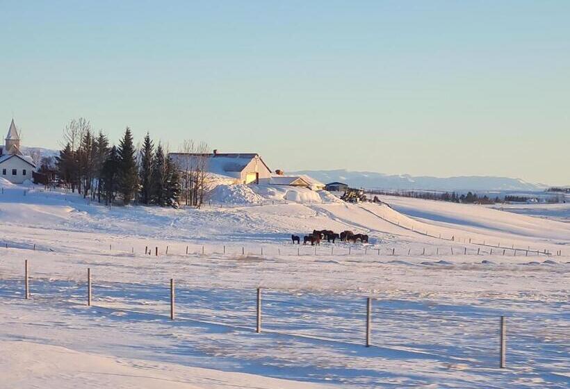 پانسیون Mb Guesthouse