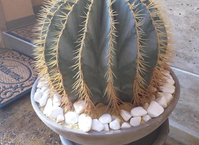 پانسیون Time Out