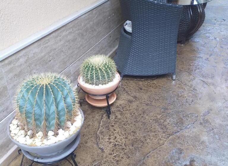 پانسیون Time Out