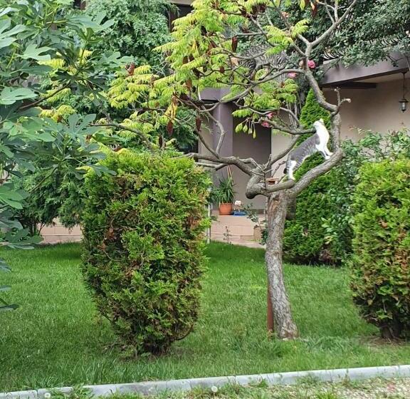 پانسیون Vila Choco Latte