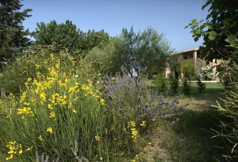 Agriturismo Ripabianca