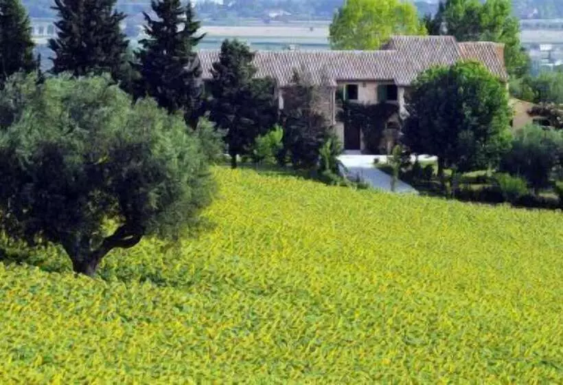 Agriturismo Ripabianca