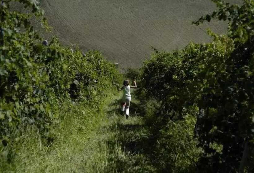 Agriturismo Ripabianca