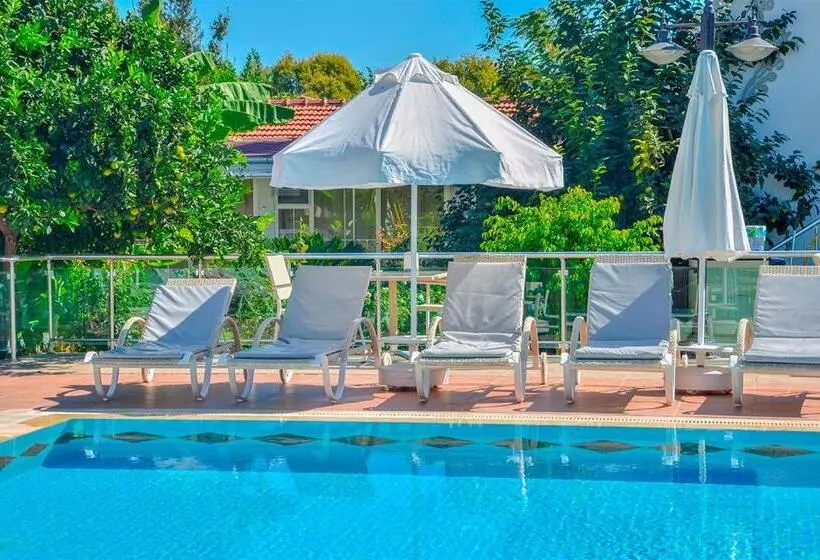 酒店 Clover Magic Altinkum Park