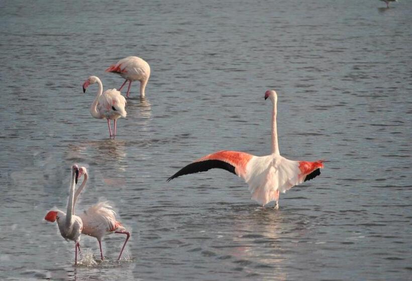 فندق Lewisrooms Domo