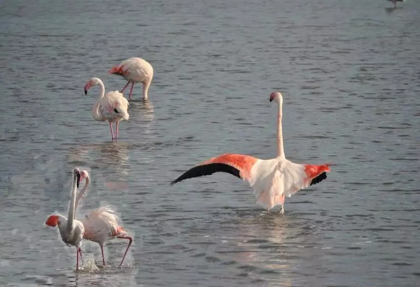 酒店 Lewisrooms Domo