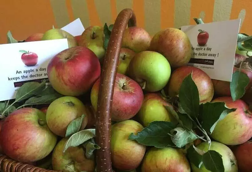 ホテル Solegarten