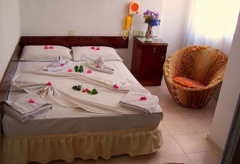 酒店 Villa Fortin Pansiyon