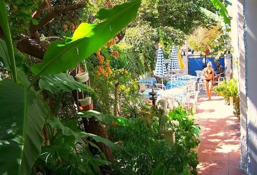 בית מלון כפרי Villa Fortin Pansiyon