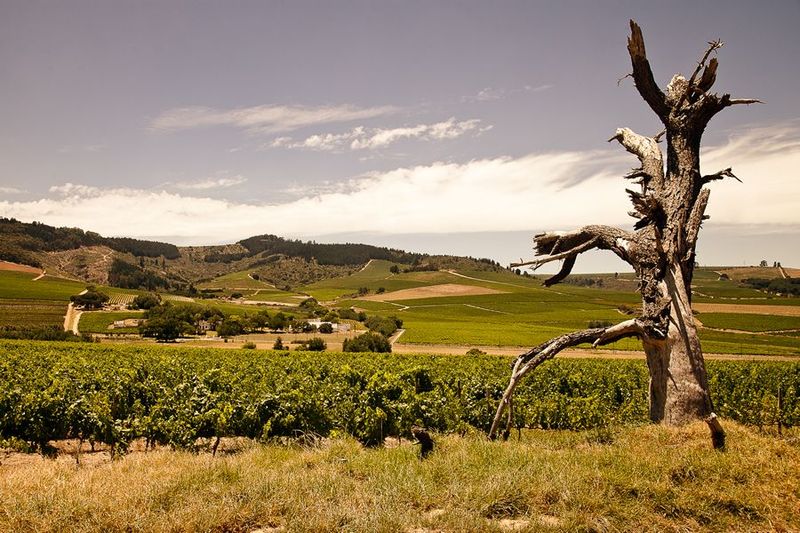 בית מלון כפרי Wedgeview Country House & Spa