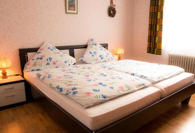 호스텔 Gasthaus Castor