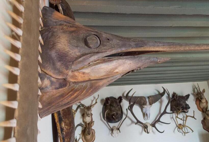 مبيت وإفطار La Chanoinesse