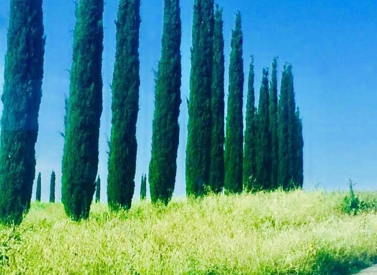 酒店 Il Girasole Terzuolo