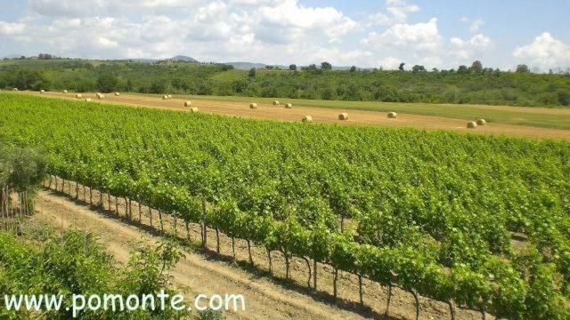 酒店 Il Girasole Terzuolo