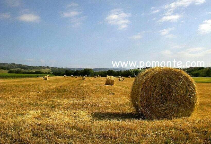 酒店 Il Girasole Terzuolo