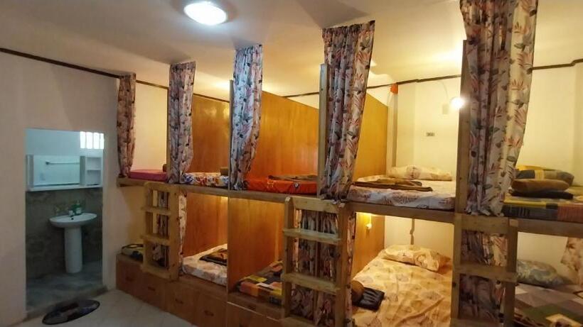 ホテル The Sharks Tail Dive Resort