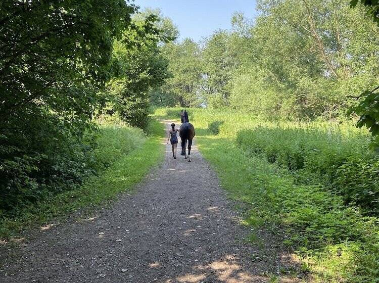 K357   Monteurhotel Ostsee Lounge