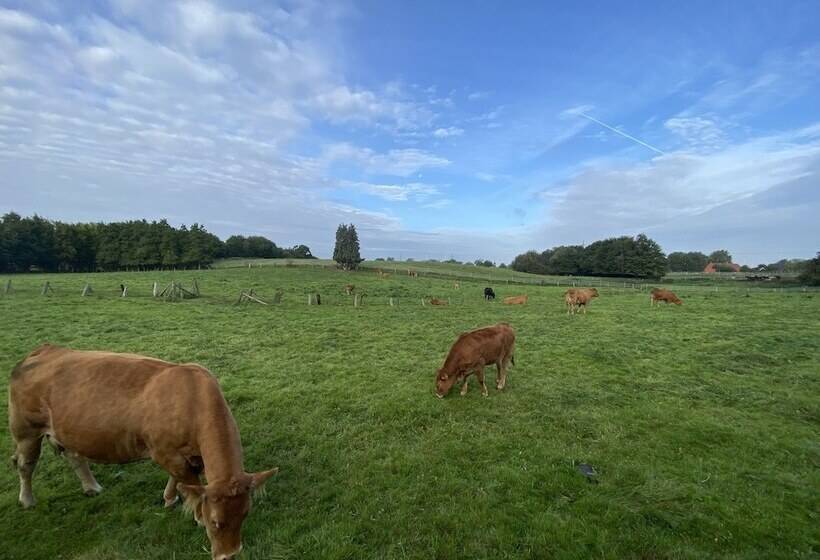 K357   Monteurhotel Ostsee Lounge