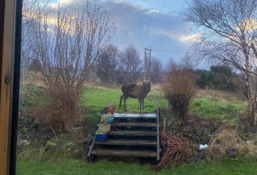 פנסיון Arisaig Holiday Apartment