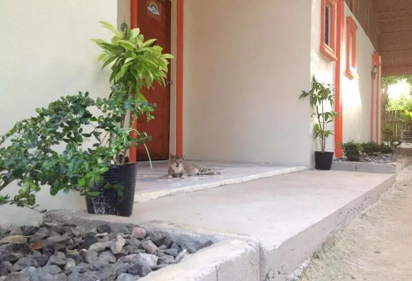 پانسیون Casa Paliton