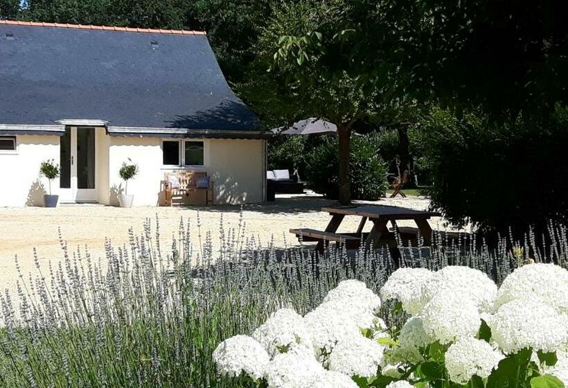Пансион Château La Mothaye   Self Catering Apartments With Pool In The Loire Valley