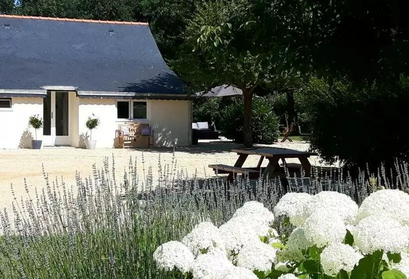 پانسیون Château La Mothaye   Self Catering Apartments With Pool In The Loire Valley