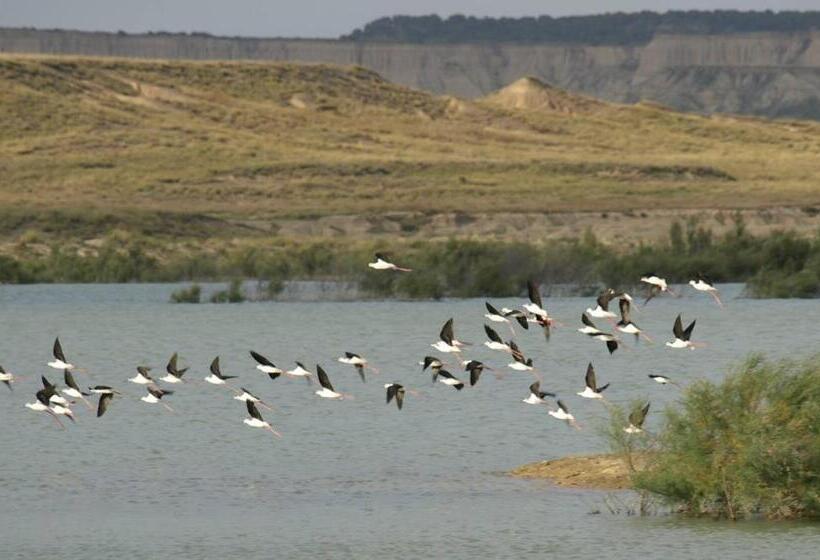 پانسیون El Trujal De Las Bardenas