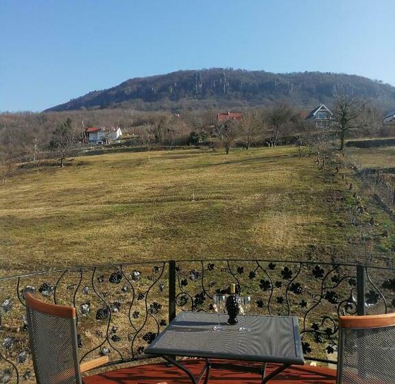 펜션 Villa Izabella