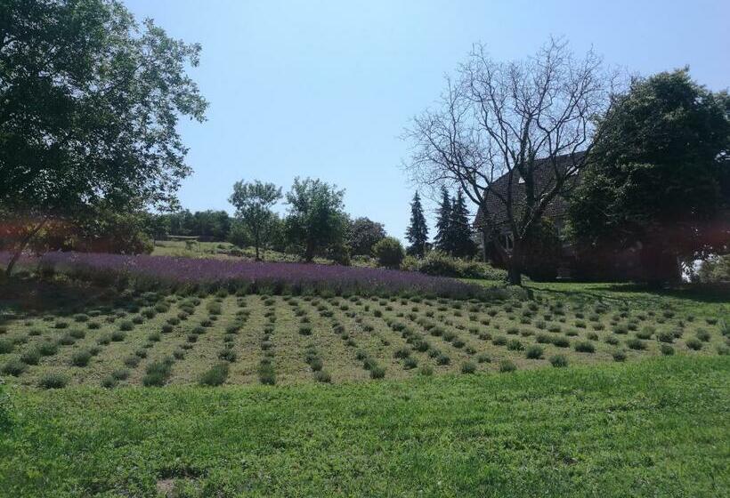 펜션 Villa Izabella