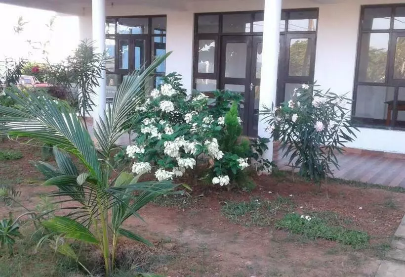 پانسیون Masha Beach Inn