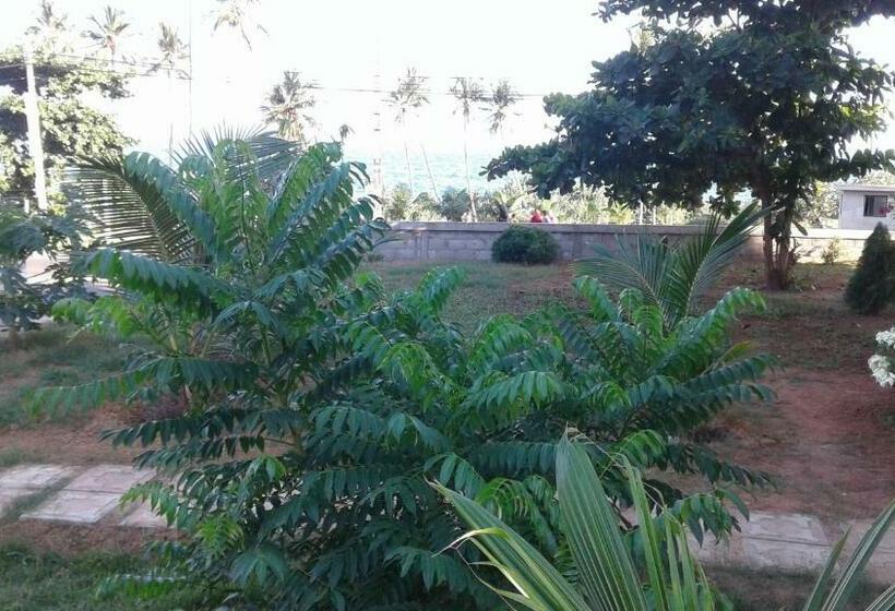 Pensão Masha Beach Inn